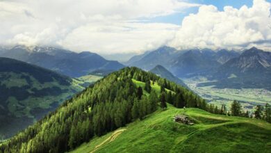 Mountain Habitat - Mountains